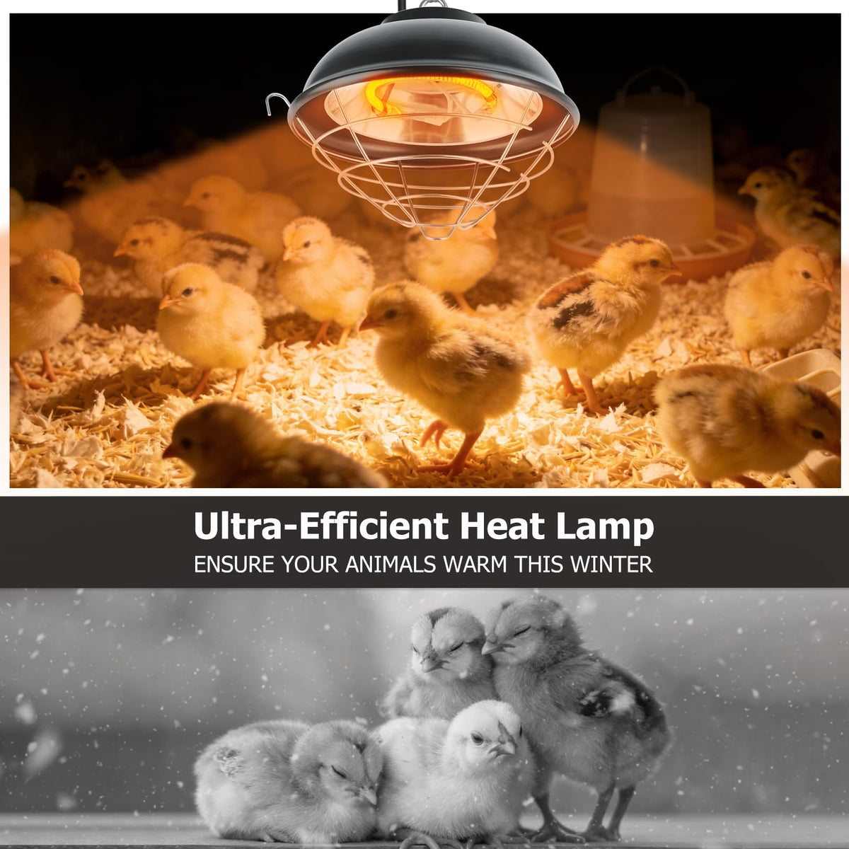 Indoor and outdoor use of Poiyham lamp suitable for coops and brooders