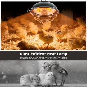 Indoor and outdoor use of Poiyham lamp suitable for coops and brooders