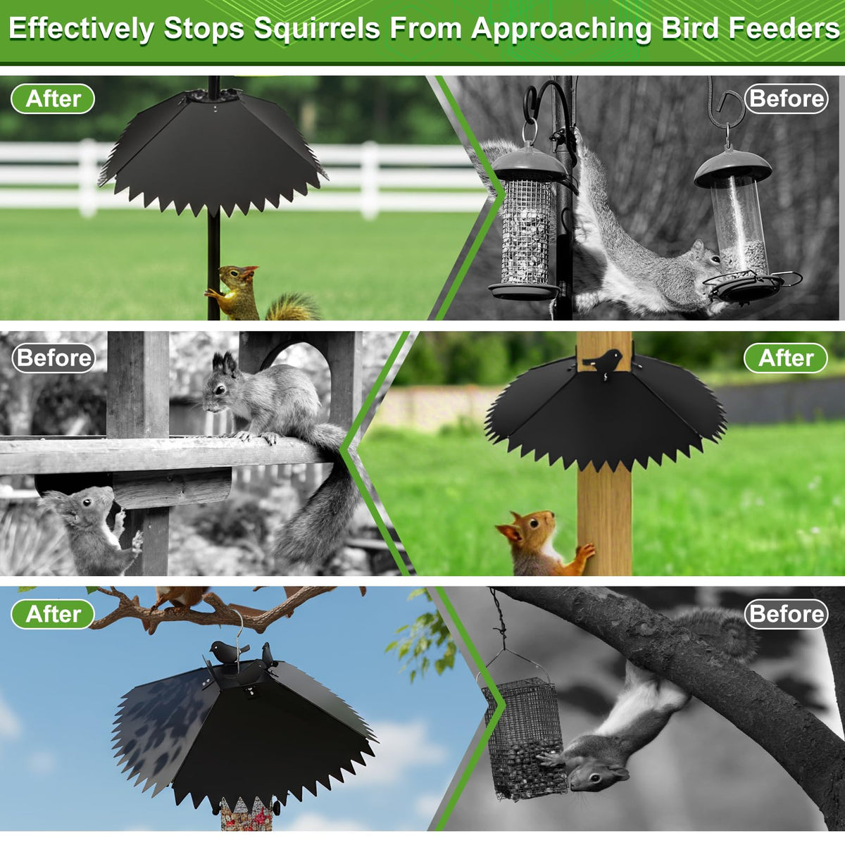Poiyham hanging squirrel baffle design adds versatility for trees or hooks