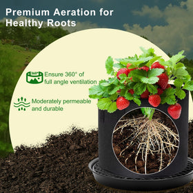 Polerden auto-irrigation threads transfer water to plant roots