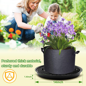 Polerden elevates pots to improve drainage and root health