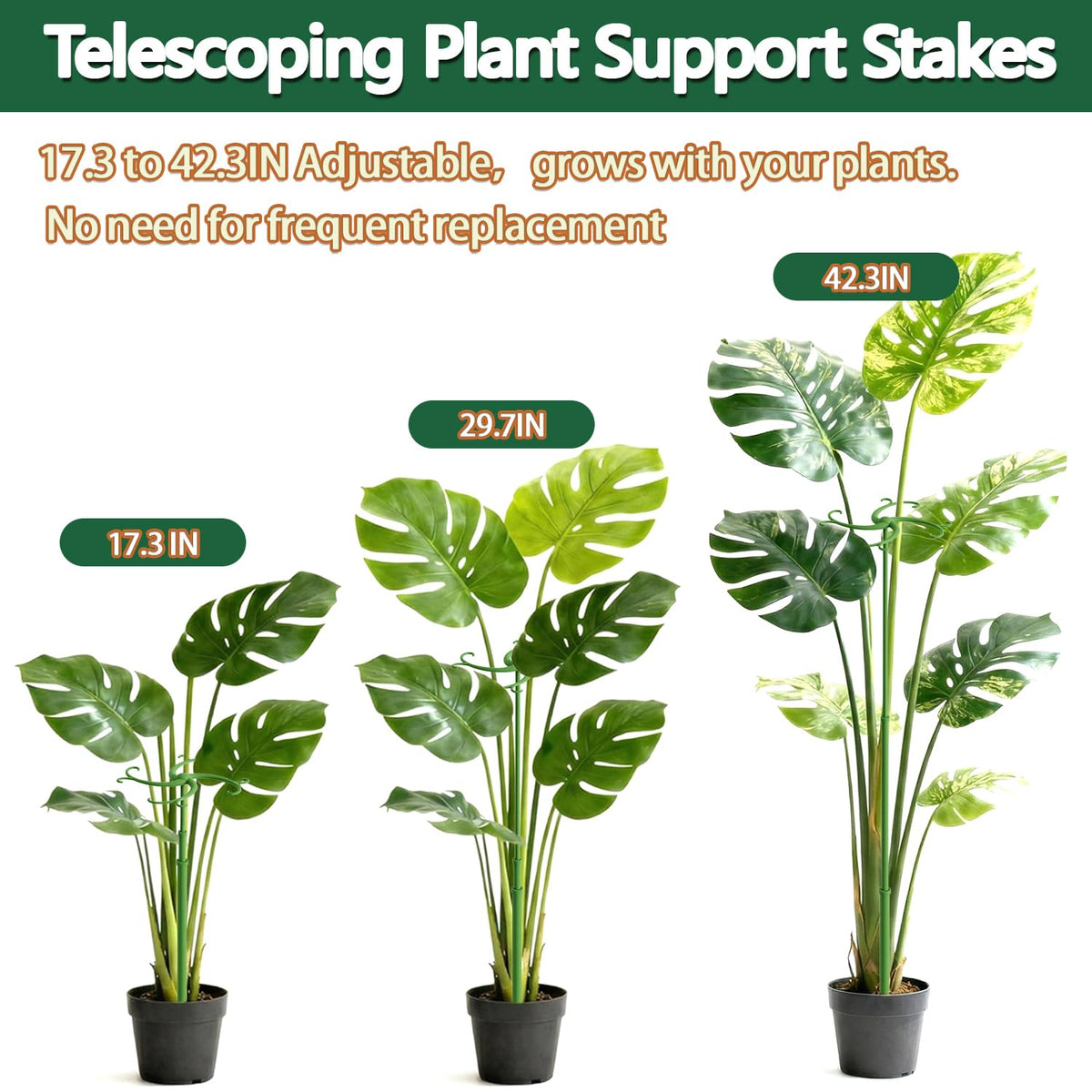POLIUMB indoor-outdoor stake supports healthy plant growth