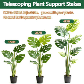 POLIUMB indoor-outdoor stake supports healthy plant growth