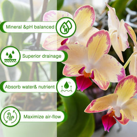 POLIUMB Orchid Bark Potting Mix in-pot scene shows epiphytic orchid care.