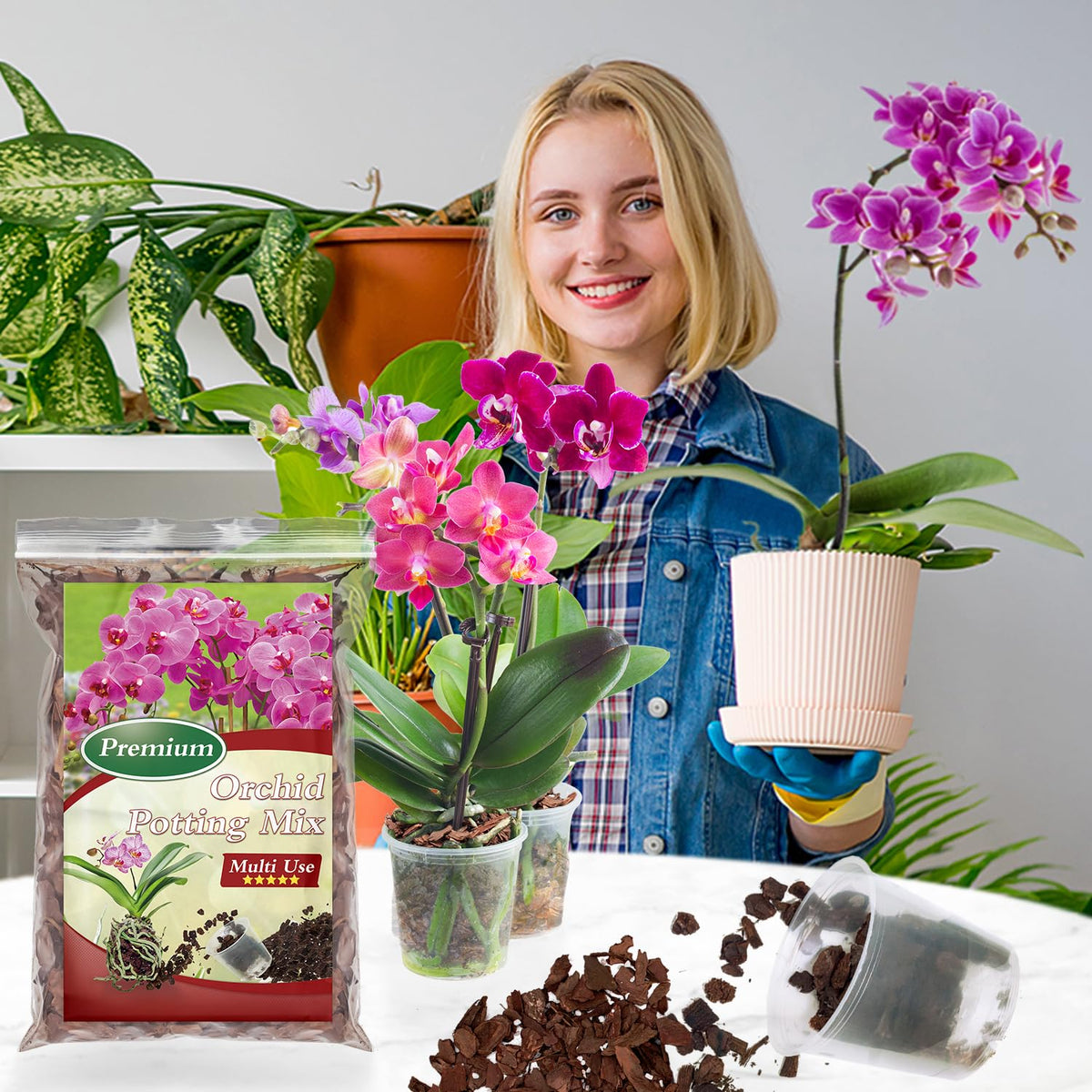 POLIUMB Orchid Bark Potting Mix ideal for indoor plants and repotting.