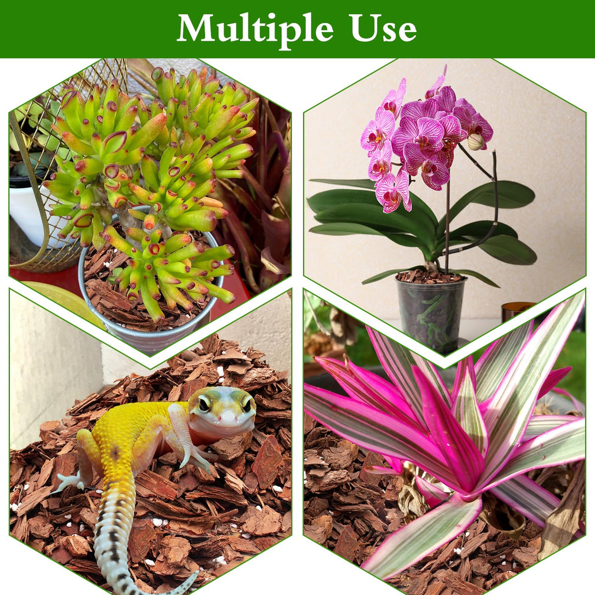 POLIUMB Orchid Bark Potting Mix perlite grains boost drainage and air flow.