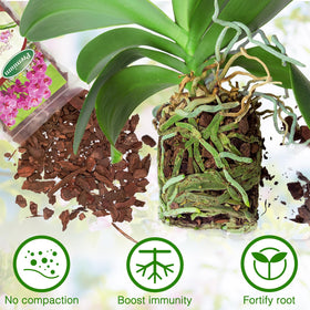 POLIUMB Orchid Bark Potting Mix pine bark pieces highlight natural ingredients for breathable roots.