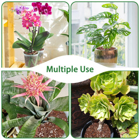 POLIUMB Orchid Potting Mix uses coco peat for moisture balance.