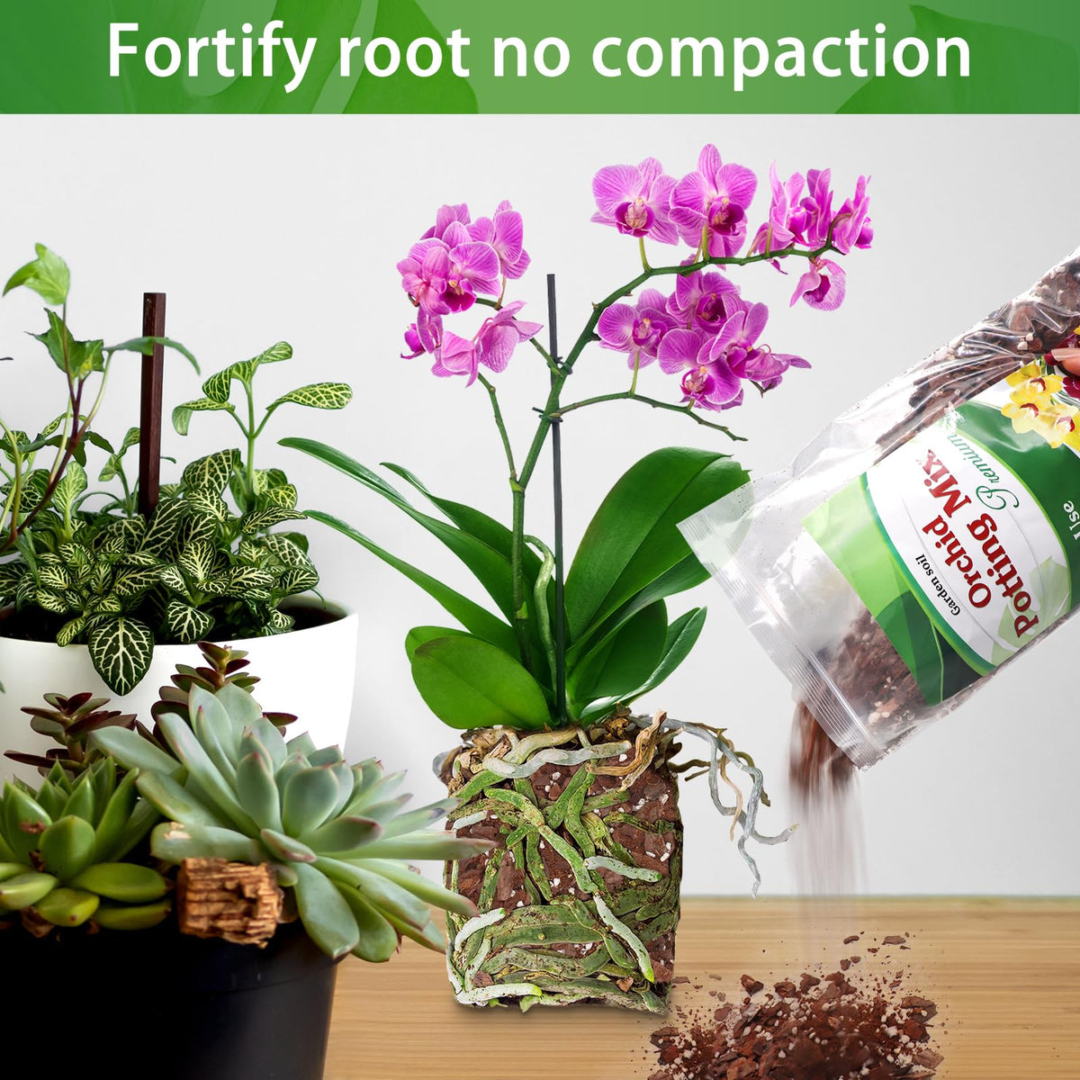 POLIUMB Orchid Potting Mix delivers upgraded drainage and airflow for roots.