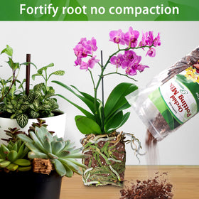 POLIUMB Orchid Potting Mix delivers upgraded drainage and airflow for roots.