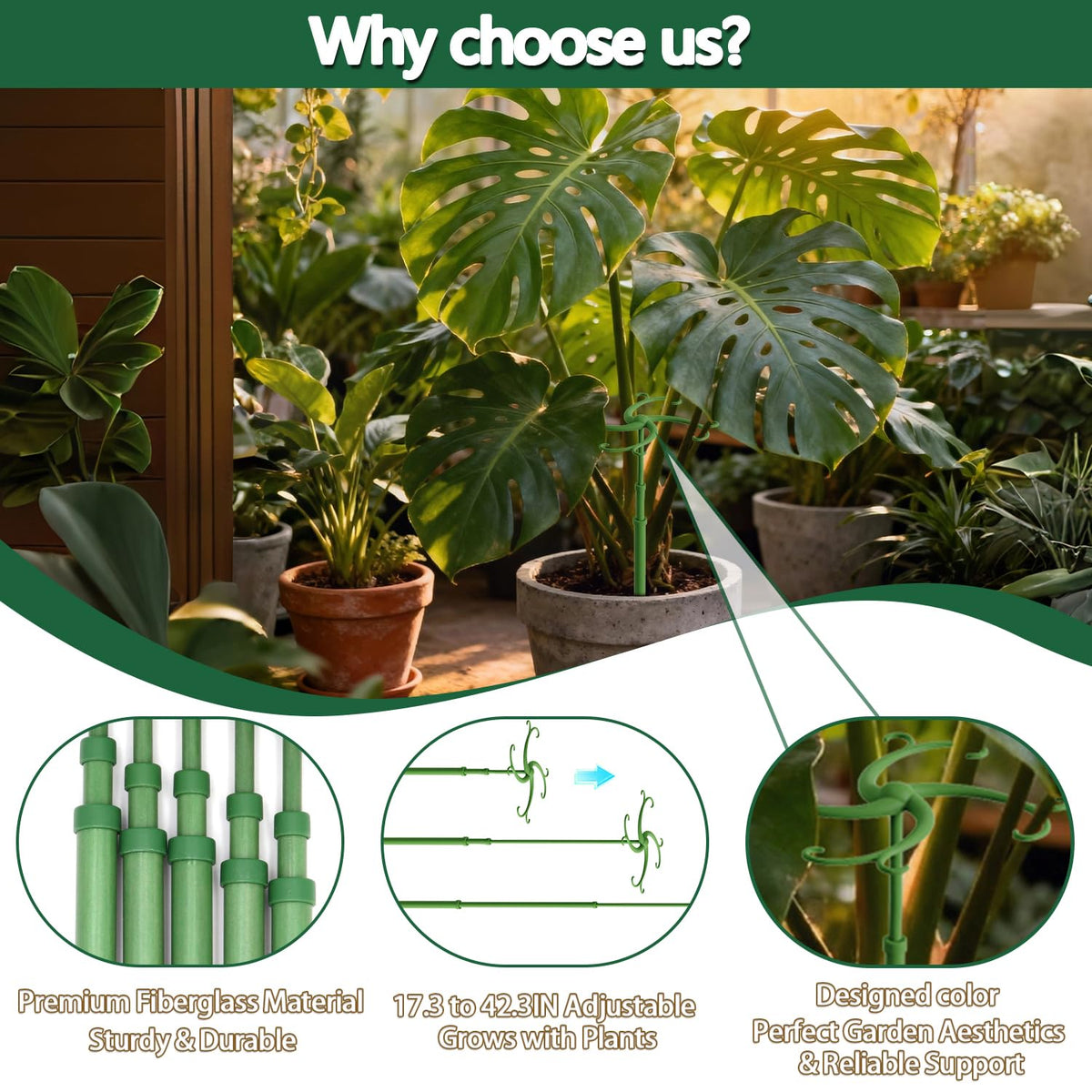 POLIUMB universal stake fits Monstera, orchids, tomatoes for climbing plants