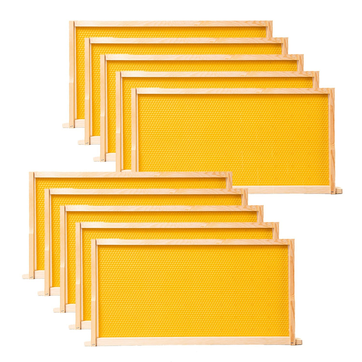 POLLIBEE ten-pack beehive frames with wax-dipped foundations for smoother hive setup.