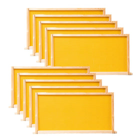 POLLIBEE ten-pack beehive frames with wax-dipped foundations for smoother hive setup.
