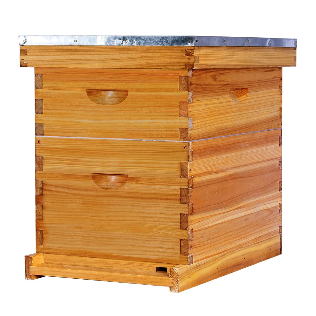 POLLIBEE 8-frame beehive assembly with dovetail joints for durability