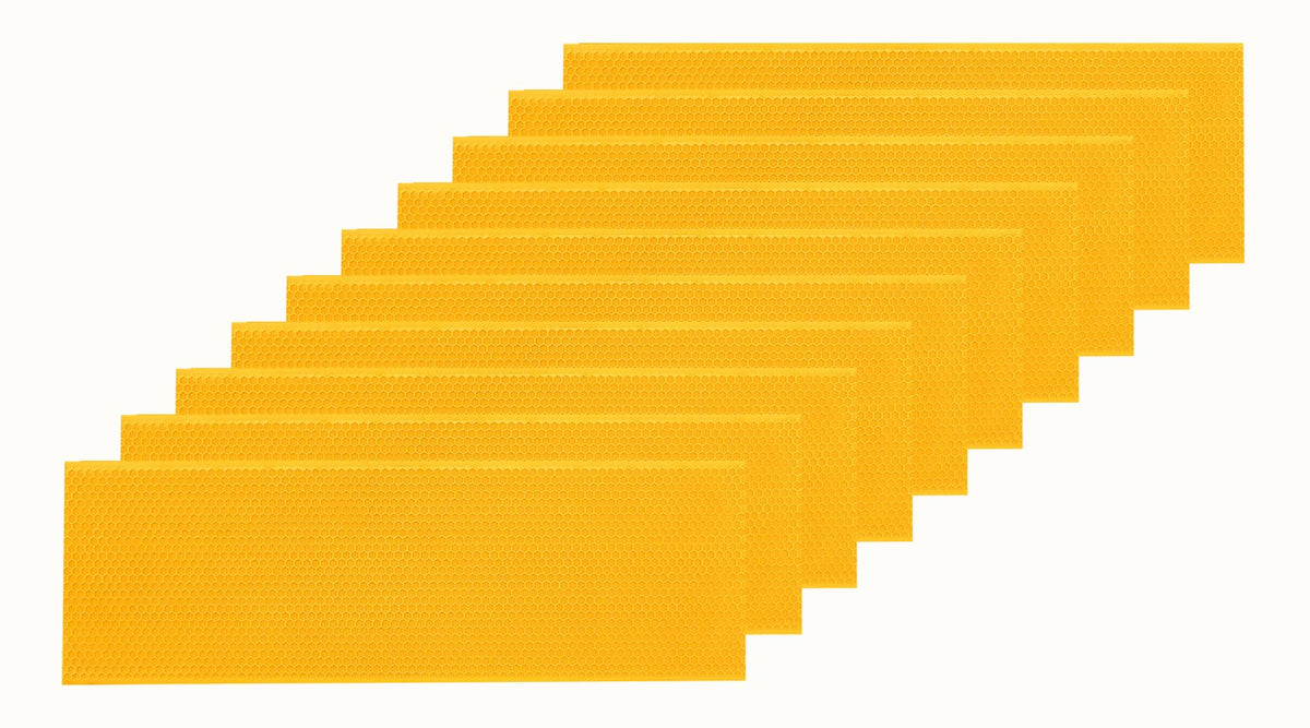 POLLIBEE beehive foundation sheets ready for 5-5/8 inch medium frames, beeswax coated for durability.