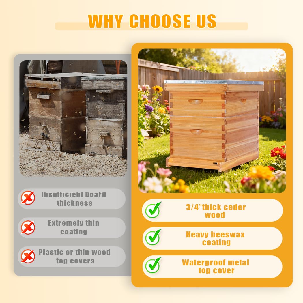 POLLIBEE beeswax foundation inside pine frames promotes natural comb building