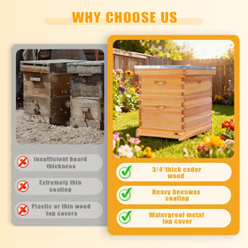 POLLIBEE beeswax foundation inside pine frames promotes natural comb building