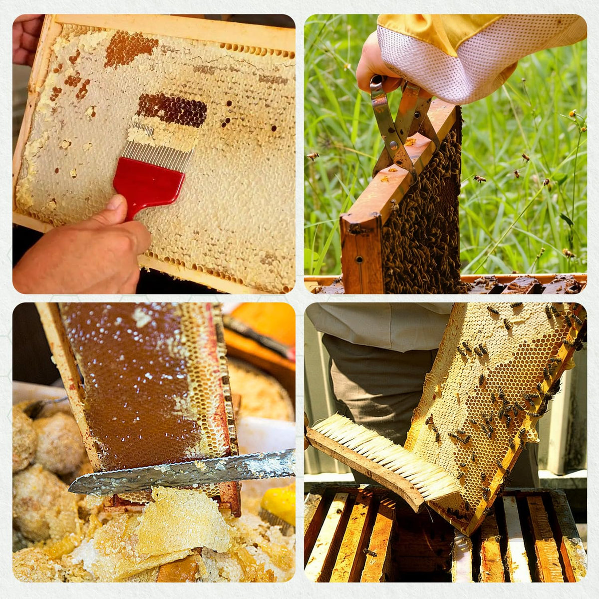POLLIBEE beekeeping tools set ready for daily hive care