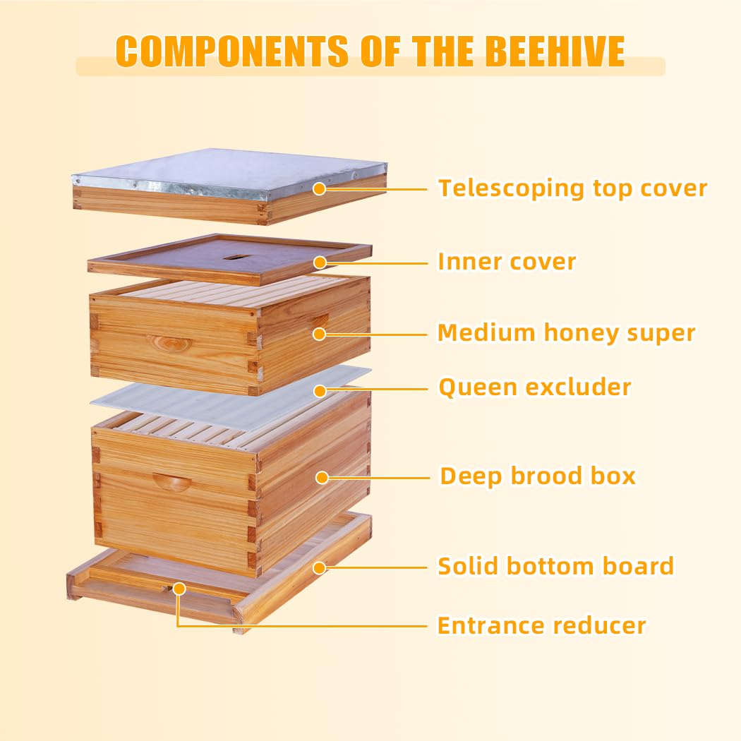 POLLIBEE beeswax-coated cedar exterior emphasizes durability and weather resistance
