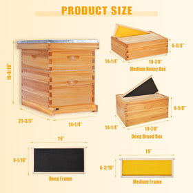 POLLIBEE complete starter kit includes essential hive components for beginners