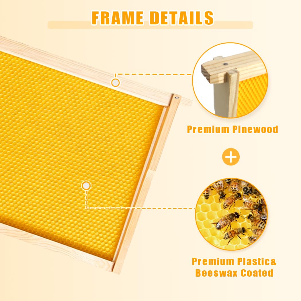 POLLIBEE deep brood frame sized for Langstroth hives with sturdy support.