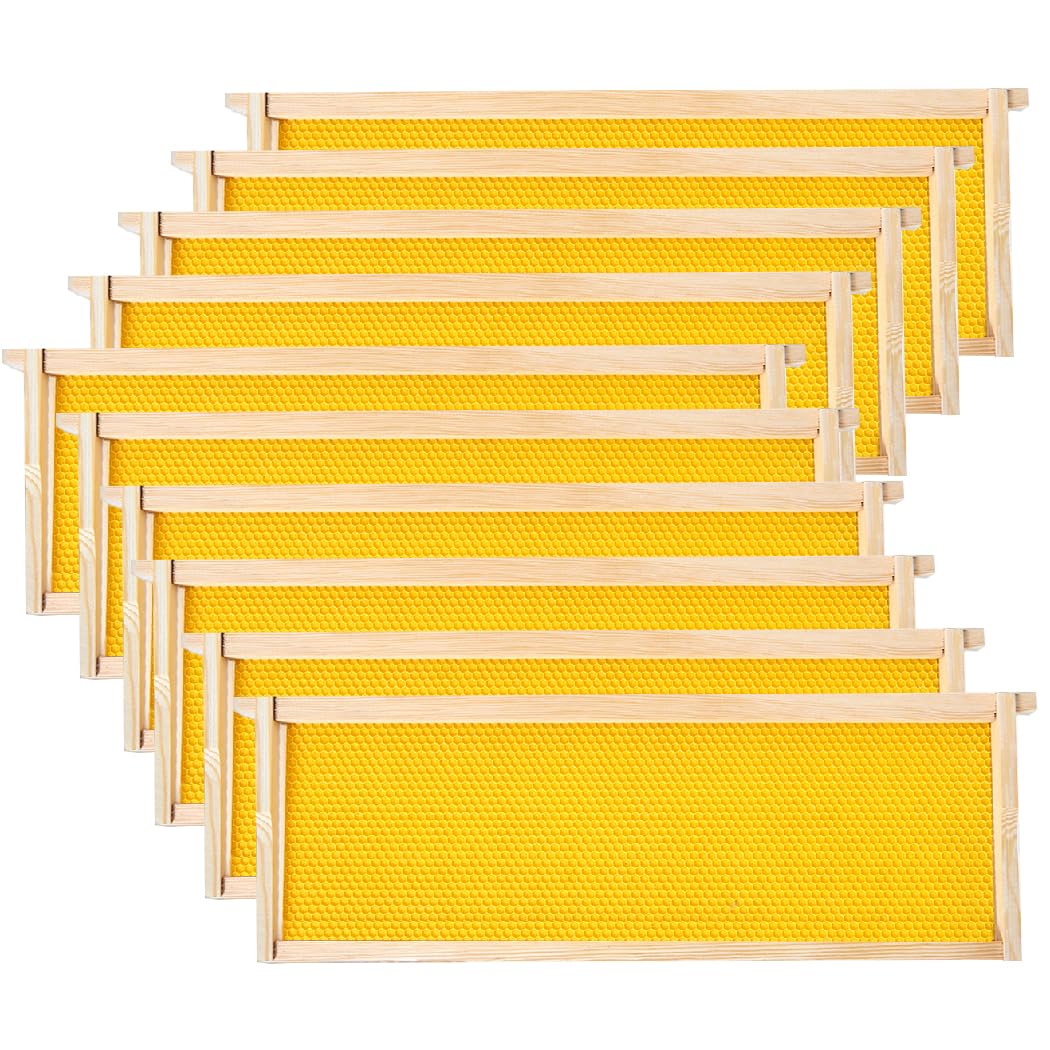 POLLIBEE medium pine frame for durable hive construction and effortless handling.