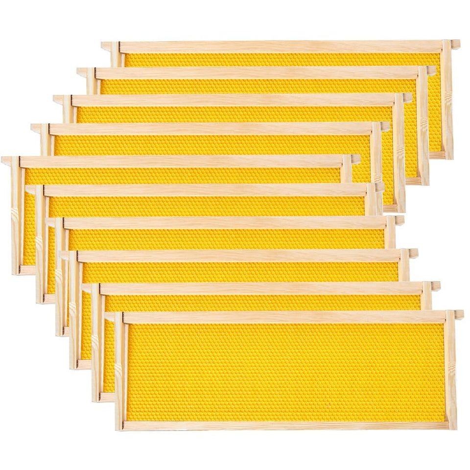 POLLIBEE medium pine frame for durable hive construction and effortless handling.