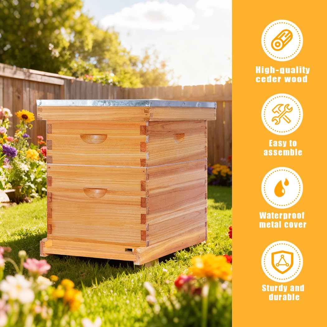 POLLIBEE medium super box supports honey production and hive expansion