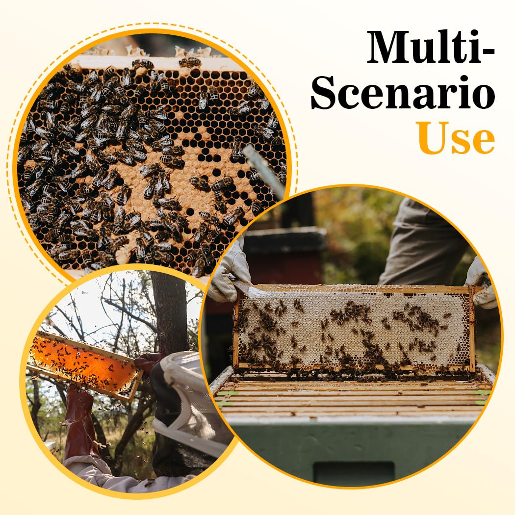 POLLIBEE pack of 10 frames ideal for expanding or refreshing hive equipment.