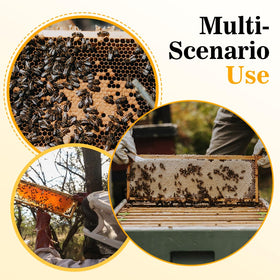 POLLIBEE pack of 10 frames ideal for expanding or refreshing hive equipment.