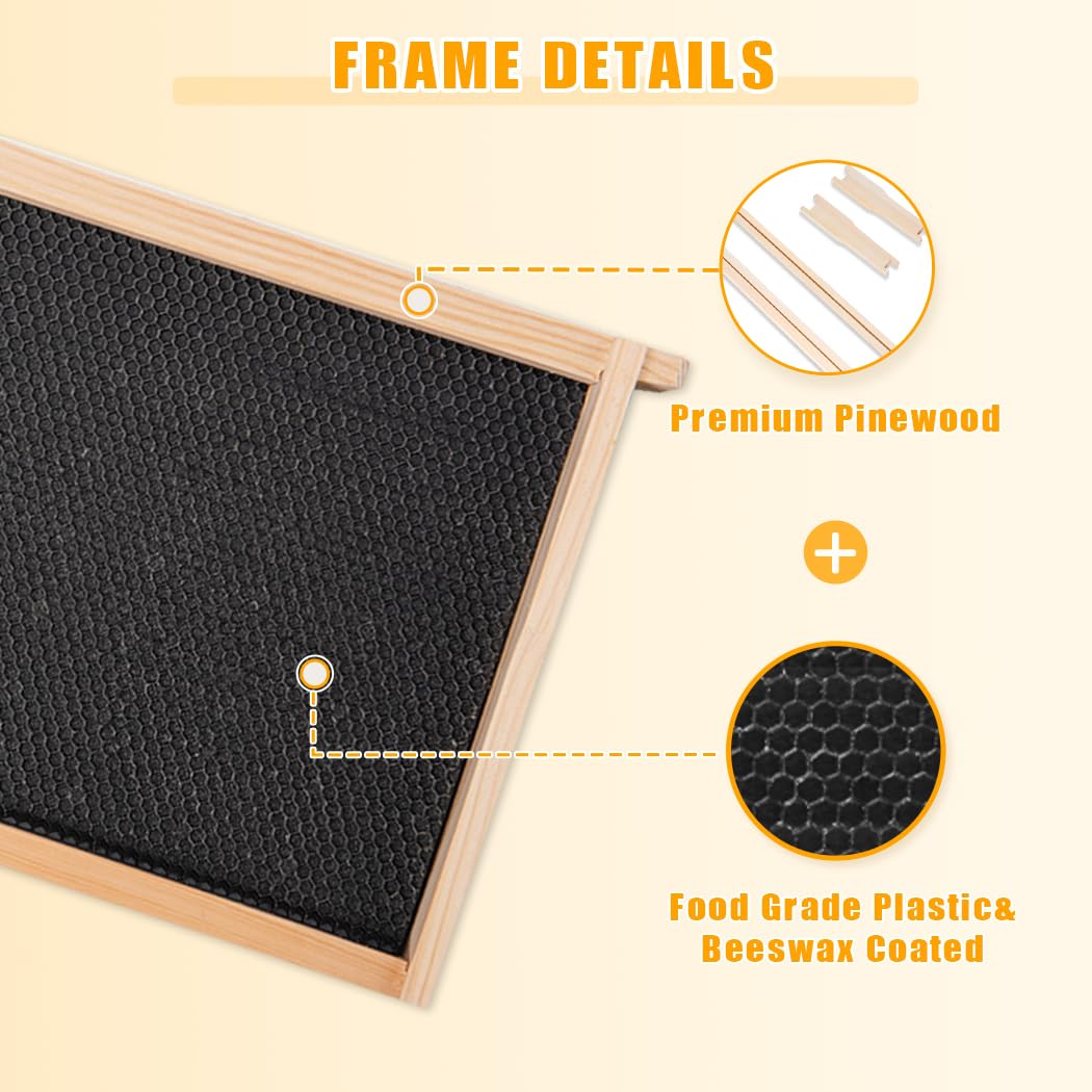 POLLIBEE wax-coated foundation visible on black frame aids brood inspection.