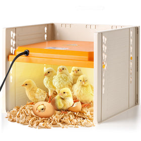 POMINEL chick brooder heating plate provides stable warmth for chicks