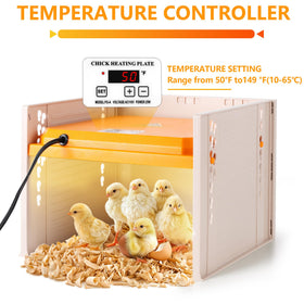 POMINEL chick brooder adjustable height and angle enables flexible chick placement