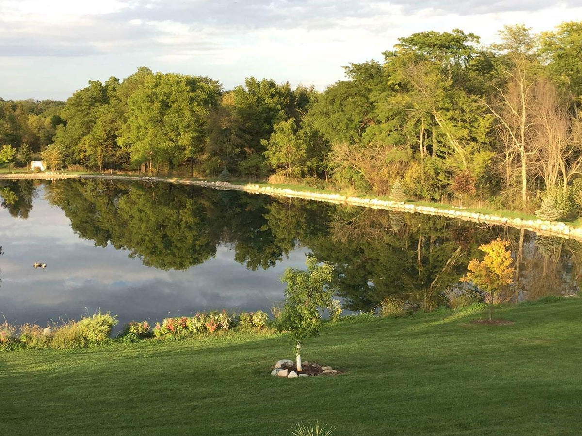 Pond Champs Black Lake Dye water color demonstration improves visuals