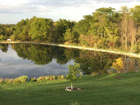 Pond Champs Black Lake Dye water color demonstration improves visuals