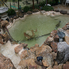 Pond Shield shows flexible bond to porous stone surfaces.