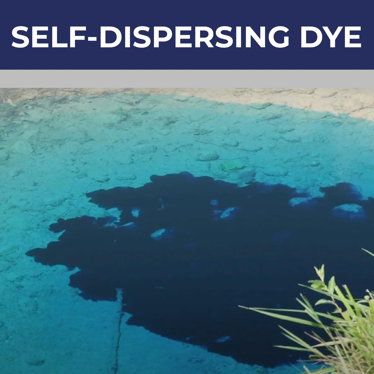 One gallon PondValue dye bottle covers up to one acre of pond water