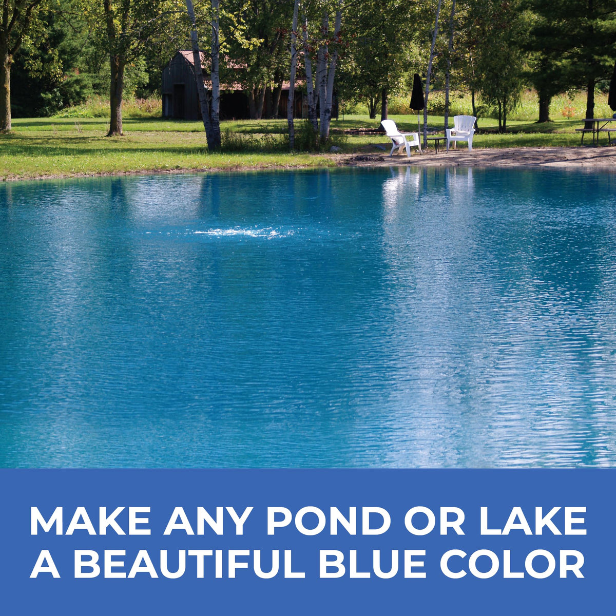Calm pond surface with blue tint from PondValue dye for enhanced color