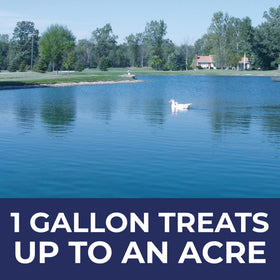 PondValue Ultimate Blue Pond Dye self-dispersing feature for even tint