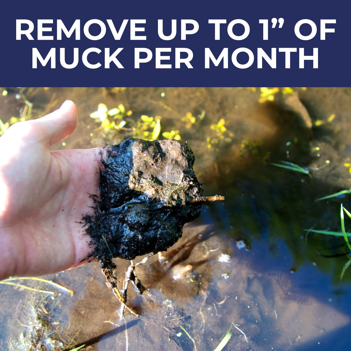 Clear pond water image suggests improved water clarity after use.