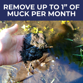 Clear pond water image suggests improved water clarity after use.