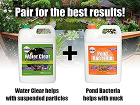 Pond Worx Water Clear before-and-after water clarity comparison