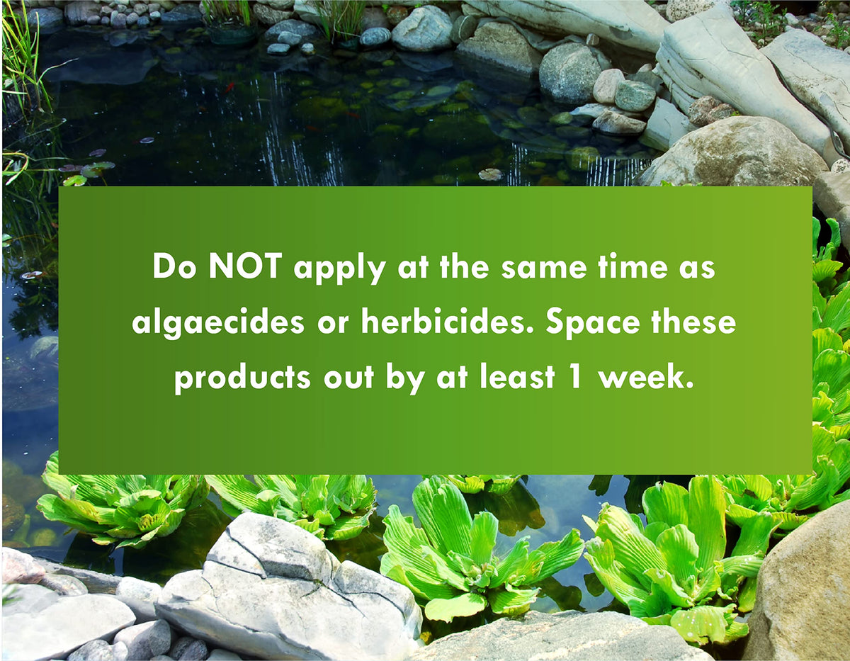 Pond Worx Water Clear with fish in pond to indicate aquatic safety