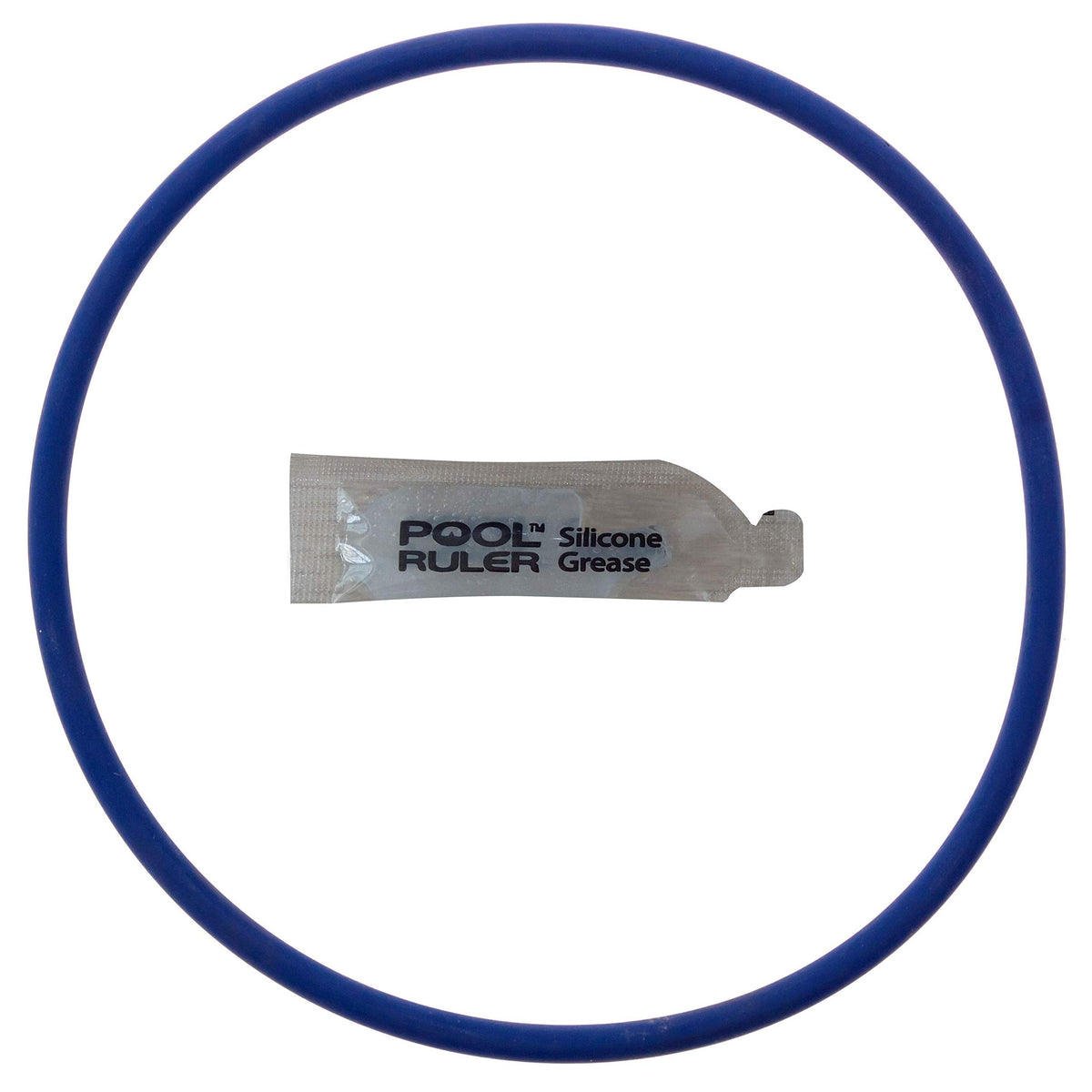 Pool Ruler CLX200K o-ring close-up shows chlorine-resistant Viton seal for Hayward chlorinators.