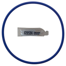 Pool Ruler CLX200K o-ring close-up shows chlorine-resistant Viton seal for Hayward chlorinators.