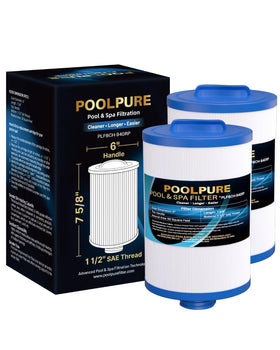 POOLPURE 6CH-940RP filter with removable handle for easy in-tank replacements.
