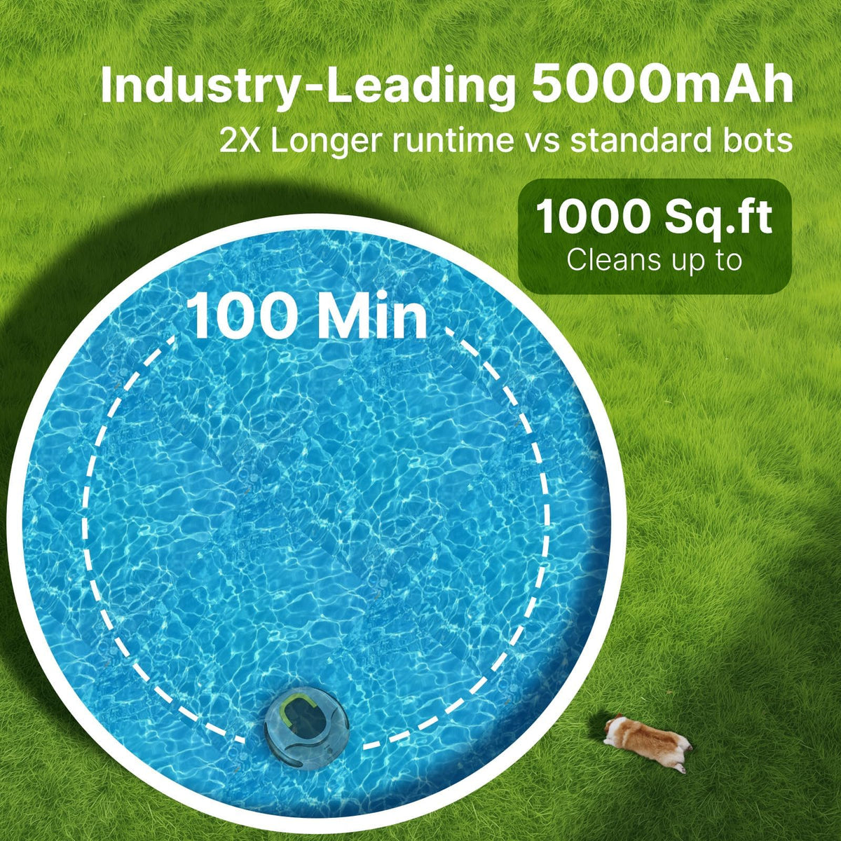 POOLPURE one-touch cleaning button activates automatic cleaning.