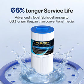 POOLPURE PLF6CH-960 60 sq ft filtration area feature