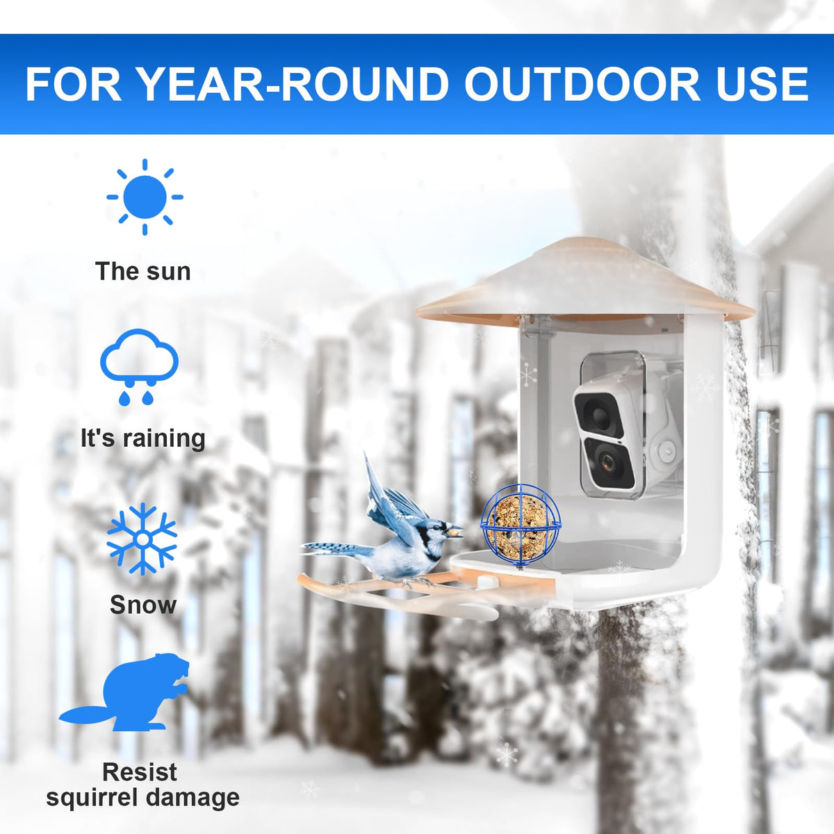 popolov 5mm screw-hole accessory easily mounts to compatible feeders