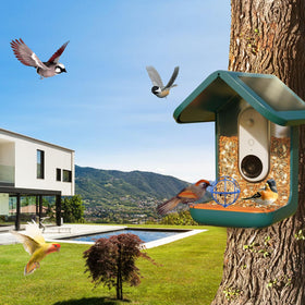 popolov bird-attracting blue coating enhances visual cue for birds
